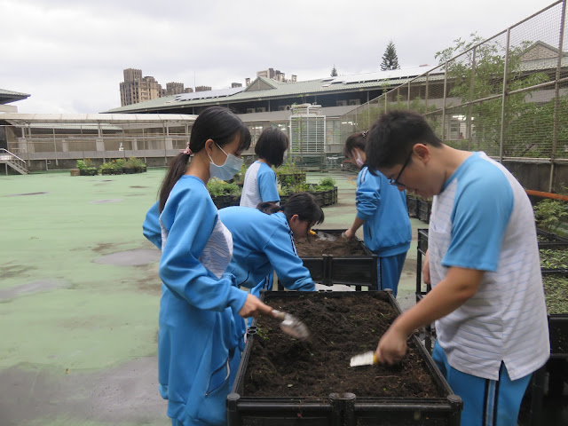 新泰國中「綠手指」 體驗農樂趣