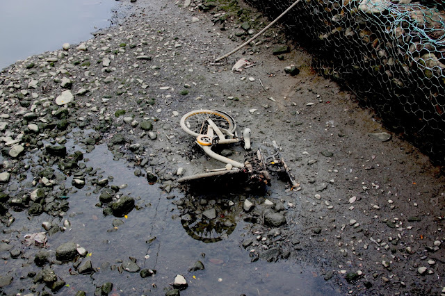 《樹梅坑溪．阮ㄟ報》喚起阮ㄟ使命