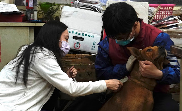 塭仔圳搬遷 改善動物問題