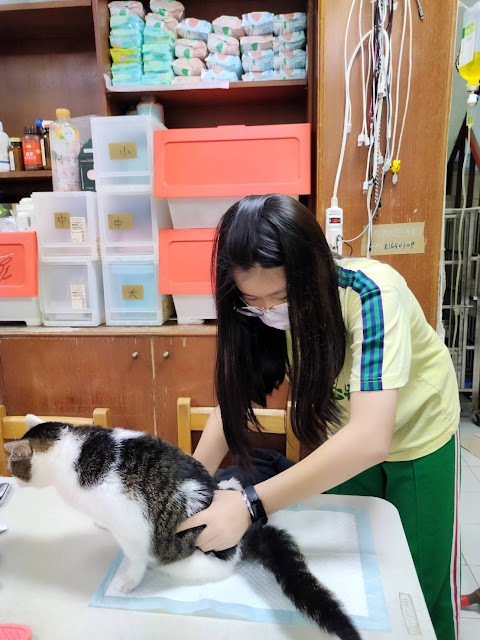 校園貓中途 貓教你尊重生命