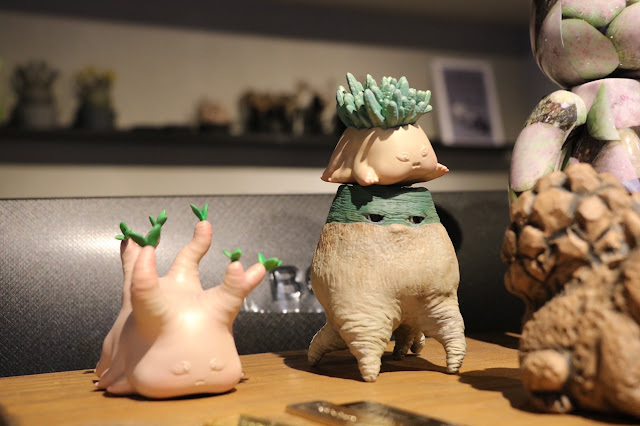 新莊藝巷 塊根植物地下藝廊