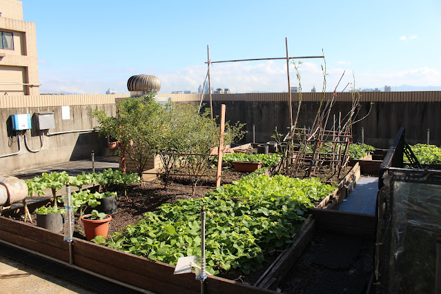 快樂屋頂農場 打造低碳空間