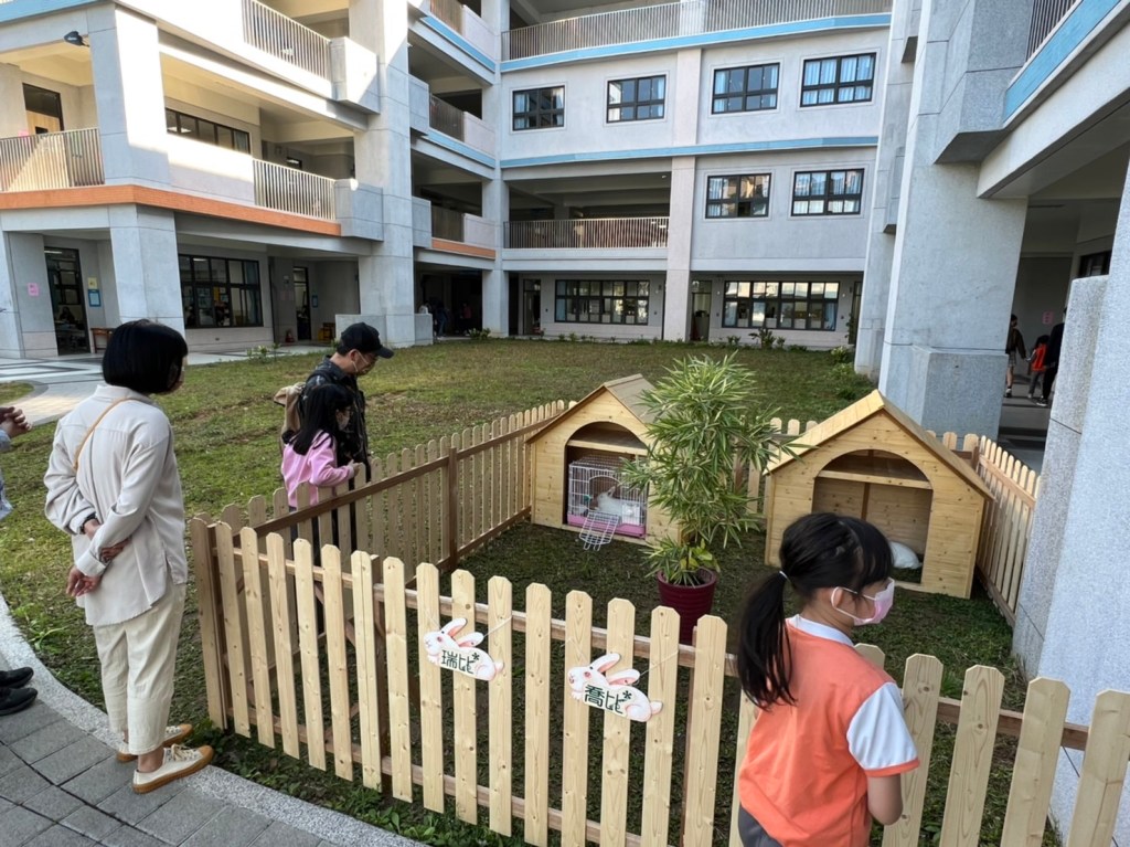 民安國小校兔搬新家