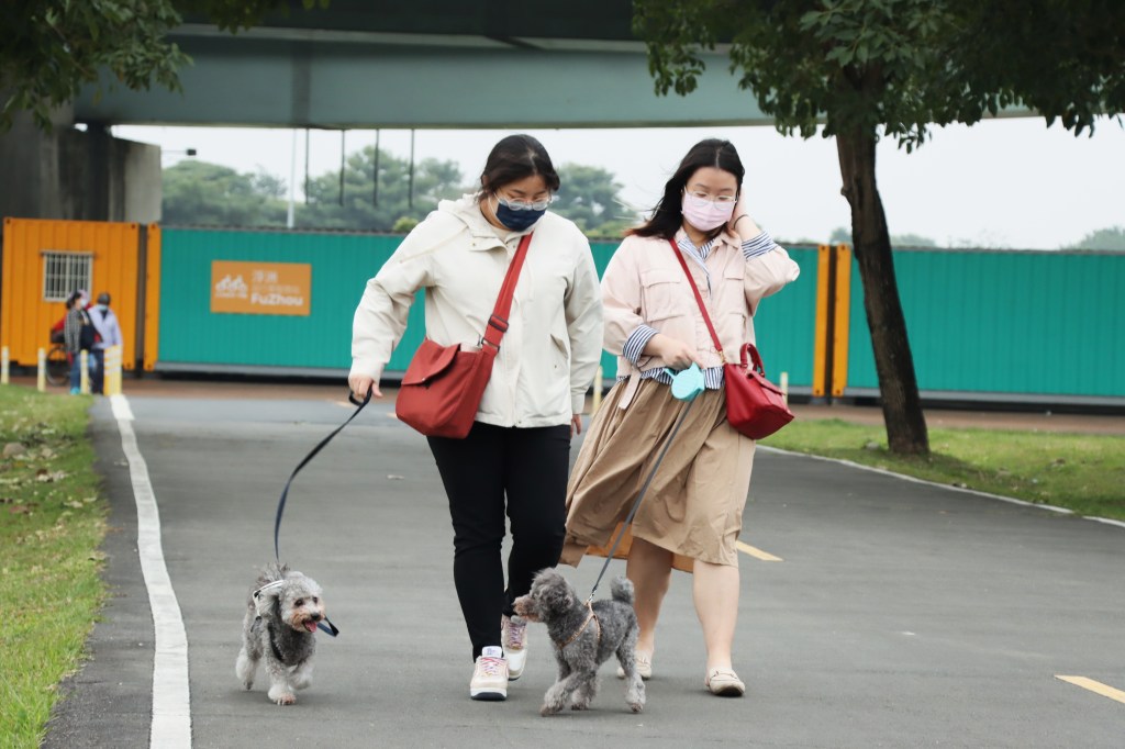 動保條例上路 強制遛狗繫牽繩 