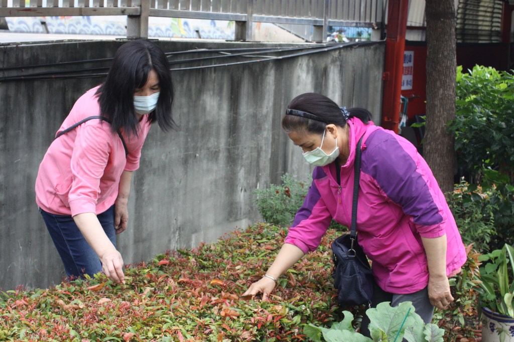 建安里防治登革熱兼顧綠美化