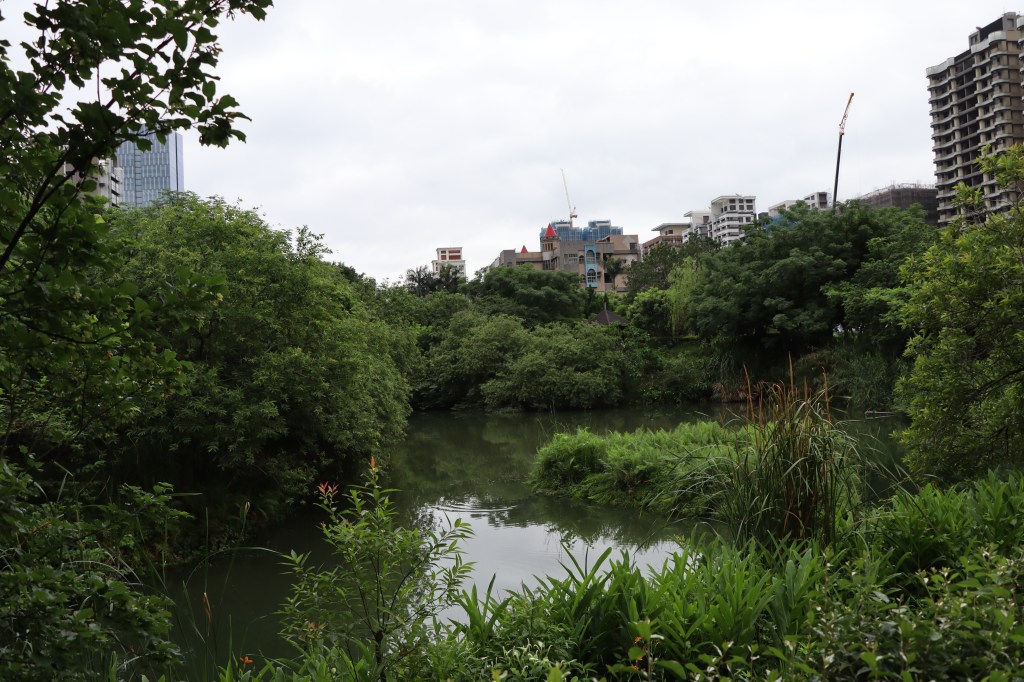 塭仔底濕地公園水土改善護生態