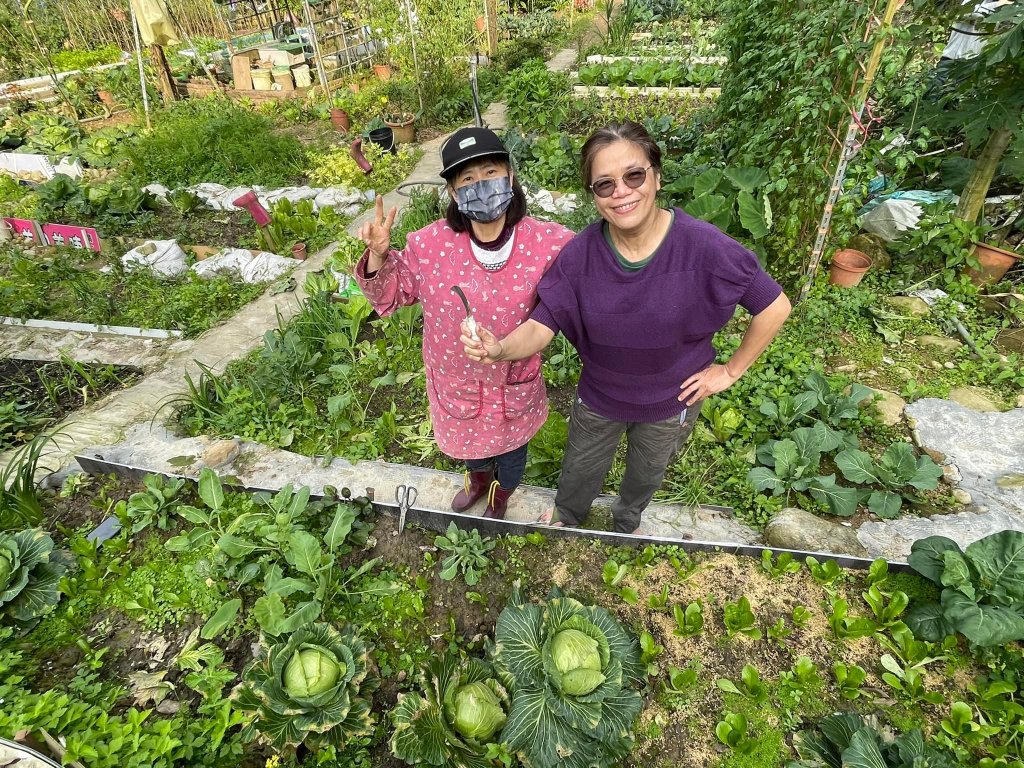 快樂三八青年農園 熱忱成就不凡