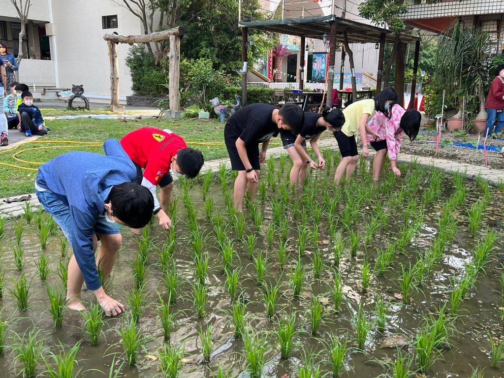 新泰教育農場 師生共譜田園詩