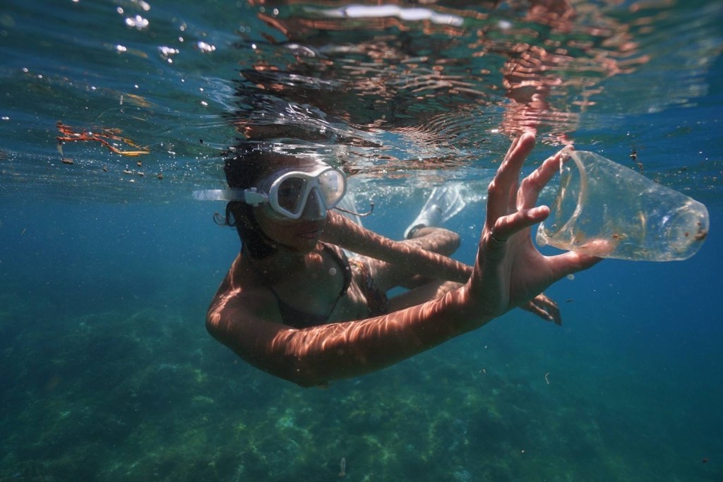 用一口氣的時間看見海洋之美