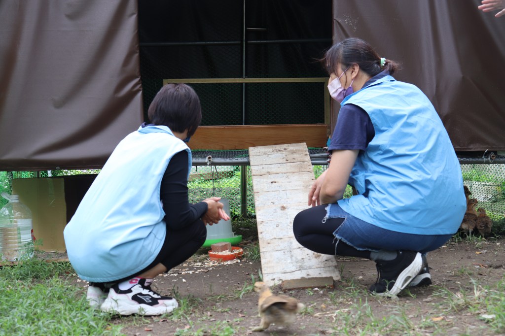 光華有「雞」農場 學習新天地