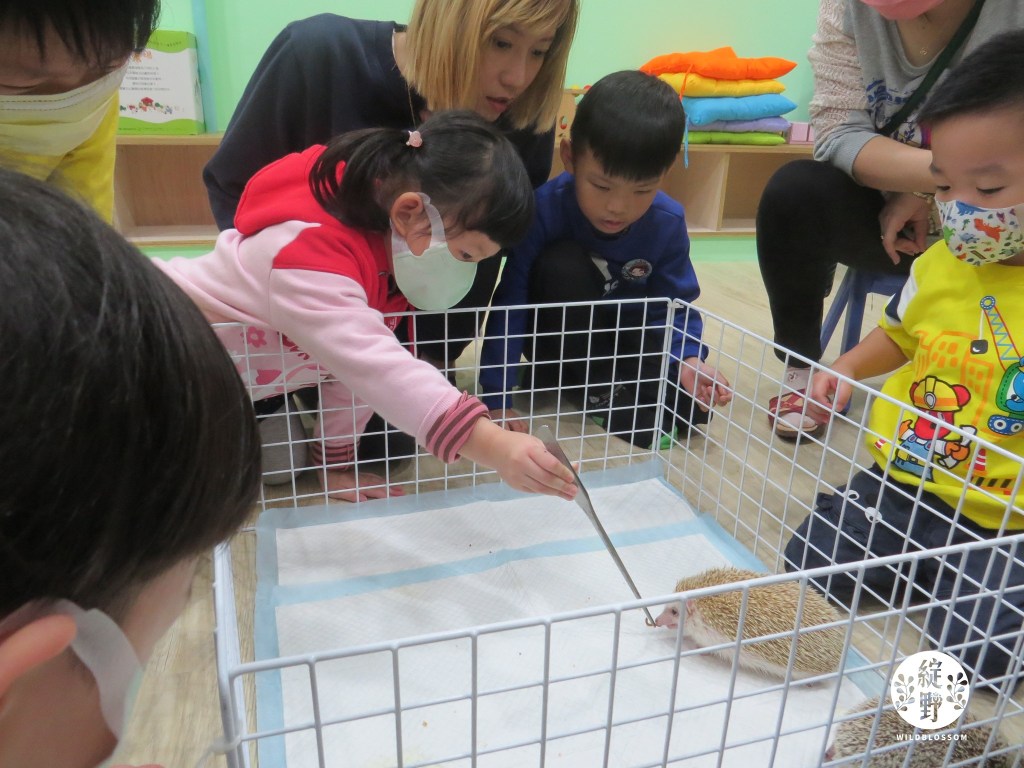 綻野自然讓孩童親近生態