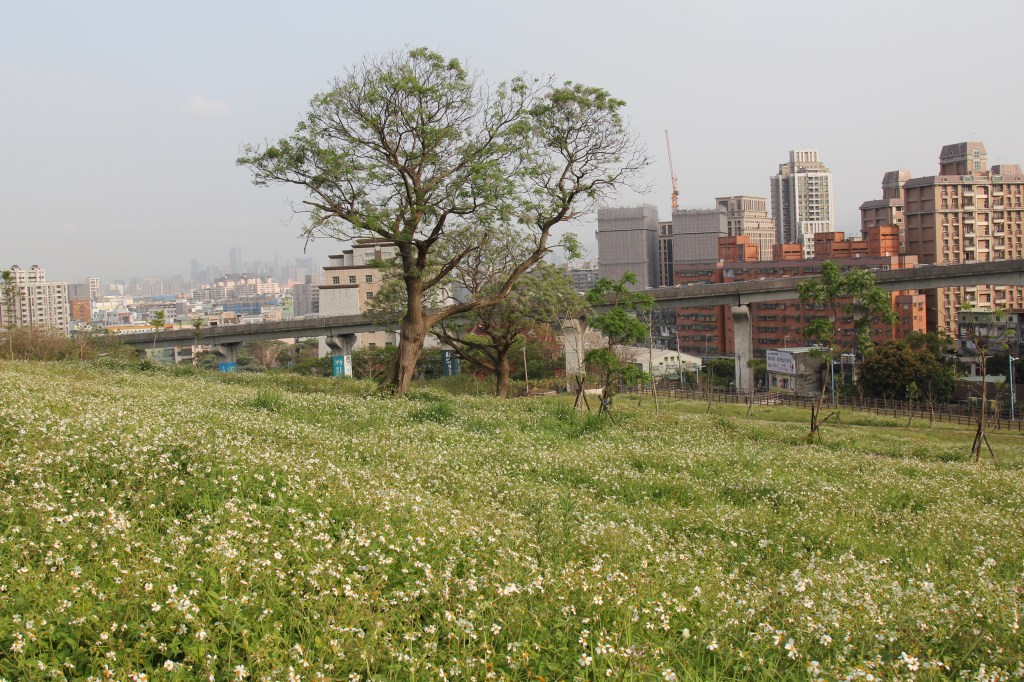 望改善市容 第一公墓二期拆遷
