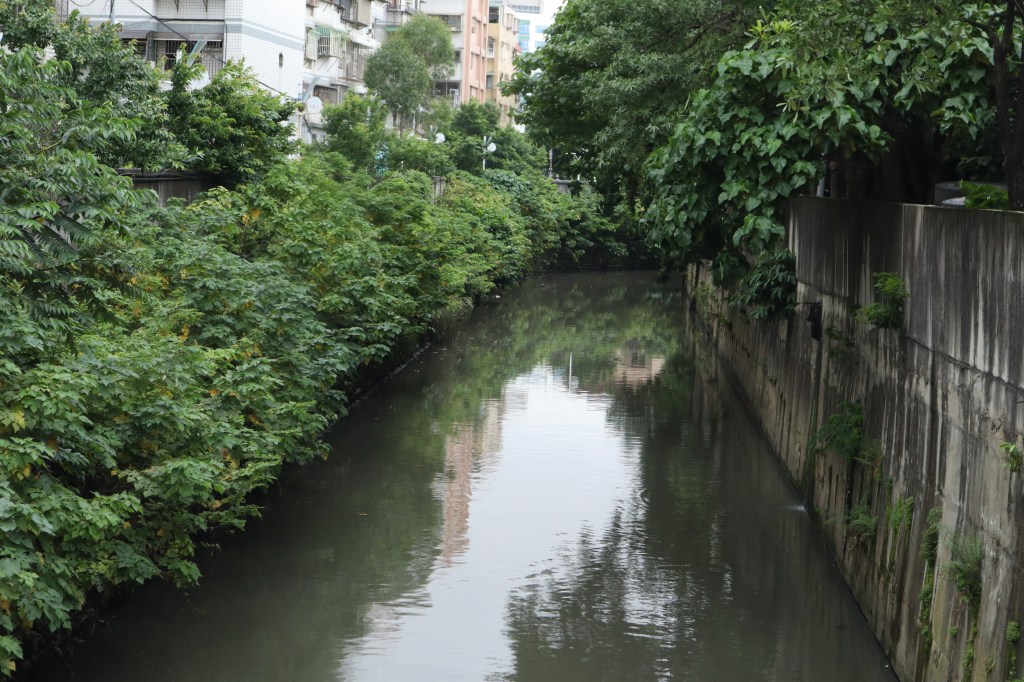 潭底溝飄惡臭 肉品市場成主因