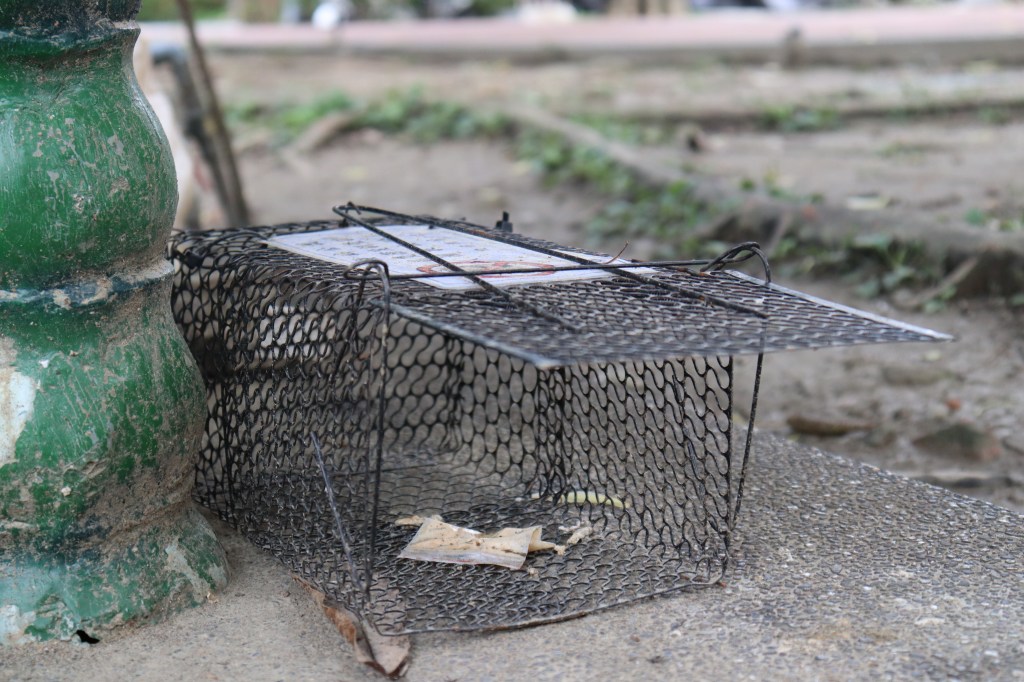 政府應貼告示 重視毛小孩安全