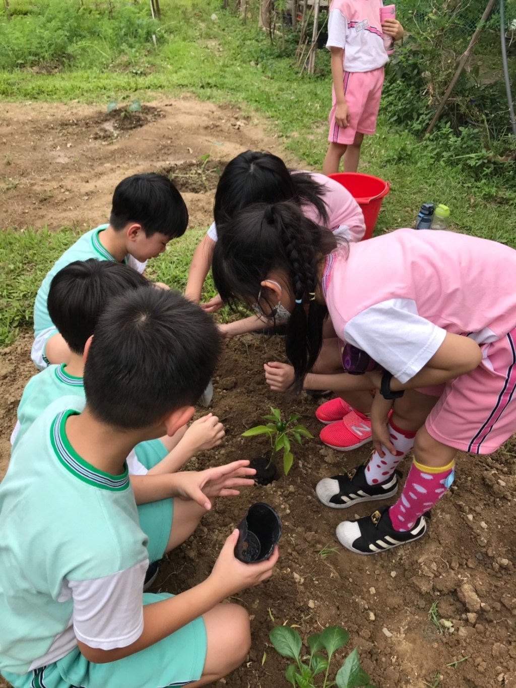低碳校園認證 營造永續生活