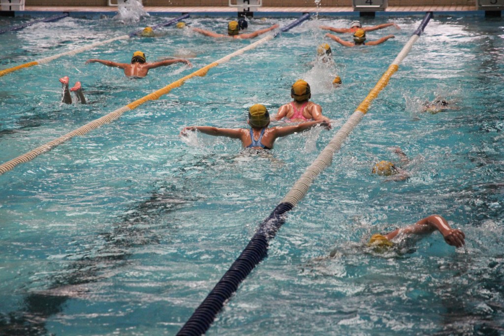 榮富泳隊獲佳績 破大會紀錄