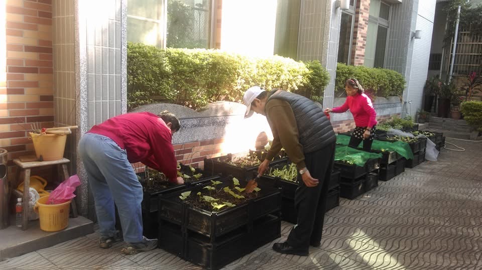 化成社區發展協會在地關懷