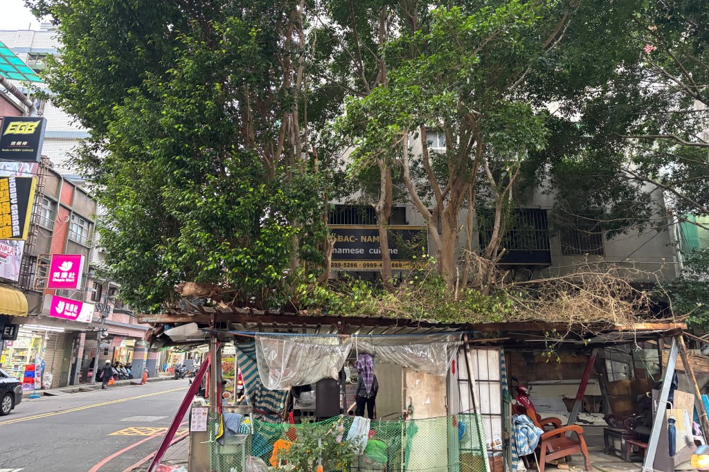 樹木移除申請取捨樹權與路權