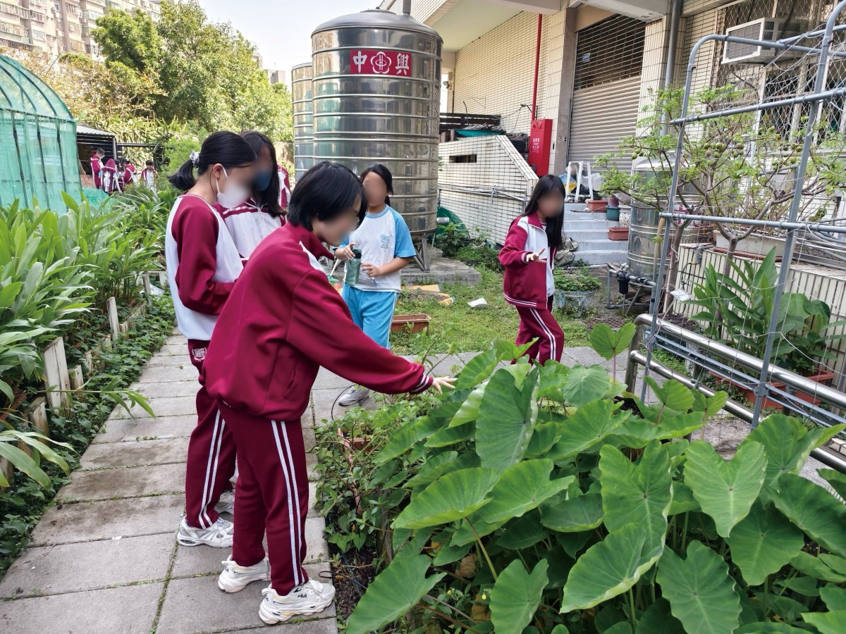 福營農場大亨 數學結合商業力